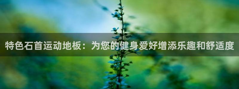 球新体育：特色石首运动地板：为您的健身爱好增添乐趣和舒适度