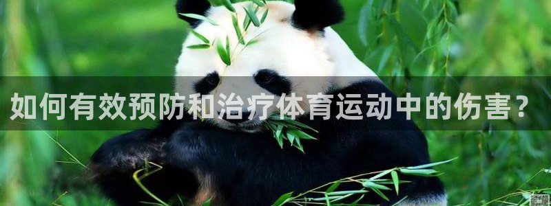 球新体育：如何有效预防和治疗体育运动中的伤害？