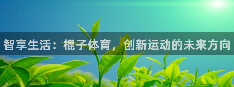 球新体育：智享生活：棍子体育，创新运动的未来方向
