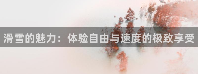 球新体育：滑雪的魅力：体验自由与速度的极致享受