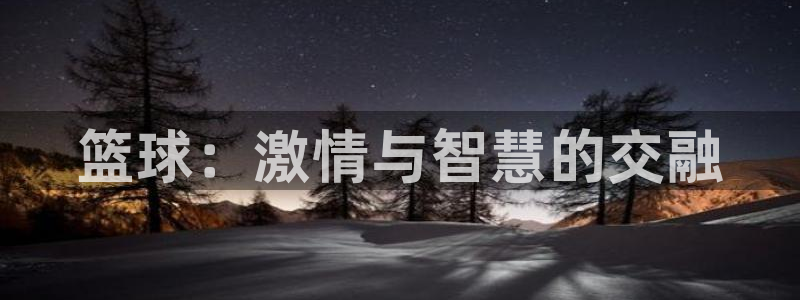 球新体育：篮球：激情与智慧的交融