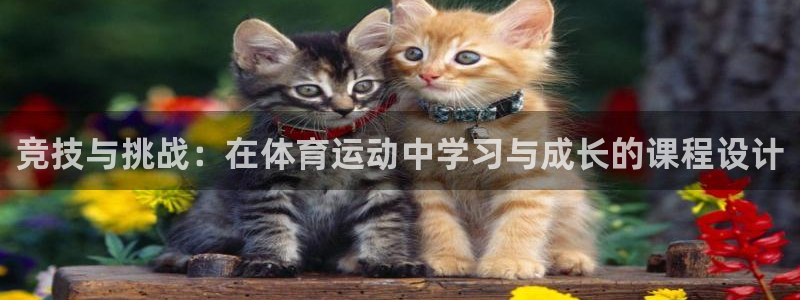 球新体育：竞技与挑战：在体育运动中学习与成长的课程设计