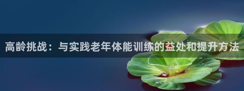 球新体育：高龄挑战：与实践老年体能训练的益处和提升方法