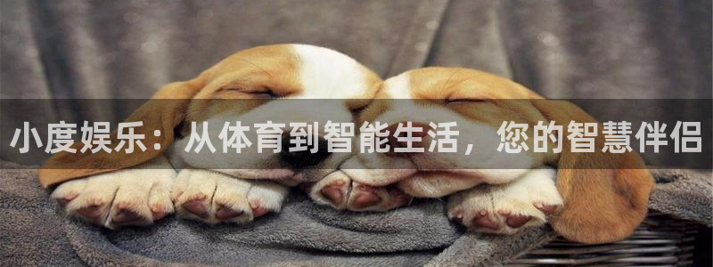 球新体育：小度娱乐：从体育到智能生活，您的智慧伴侣
